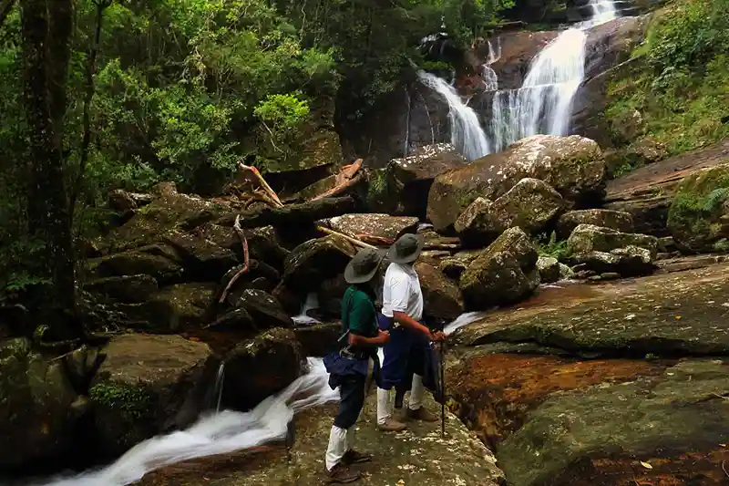 Sinharaja Forest