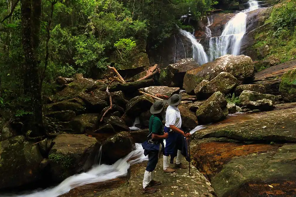 Waterfalls